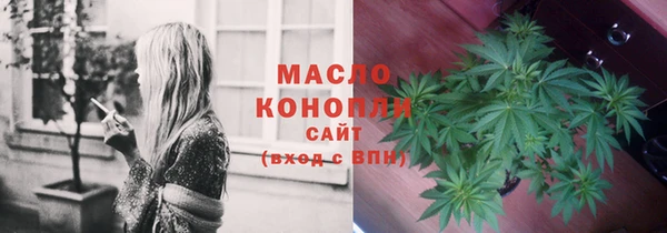 крисы Коряжма