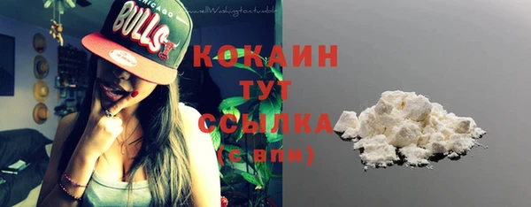 крисы Коряжма