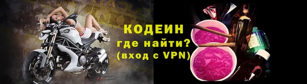 крисы Коряжма