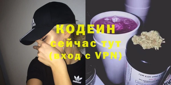 крисы Коряжма