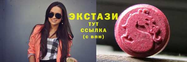 крисы Коряжма
