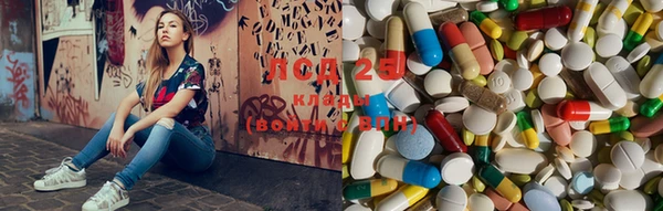 каннабис Корсаков