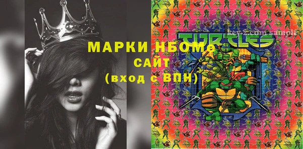 крисы Коряжма