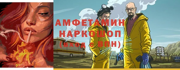 крисы Коряжма