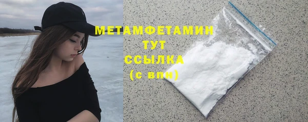 крисы Коряжма