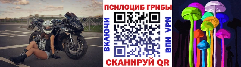 Галлюциногенные грибы Psilocybine cubensis  Купить где  Монино 